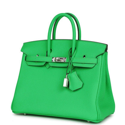 Hermes Birkin 25 Vert Comics Togo Palladium Hardware