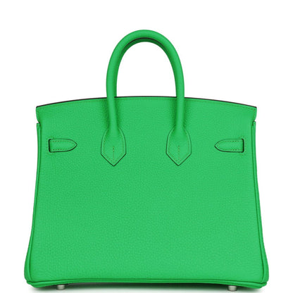 Hermes Birkin 25 Vert Comics Togo Palladium Hardware