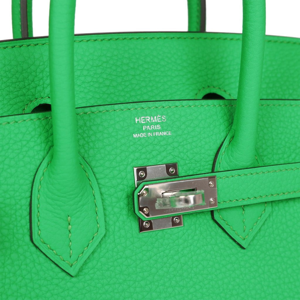 Hermes Birkin 25 Vert Comics Togo Palladium Hardware