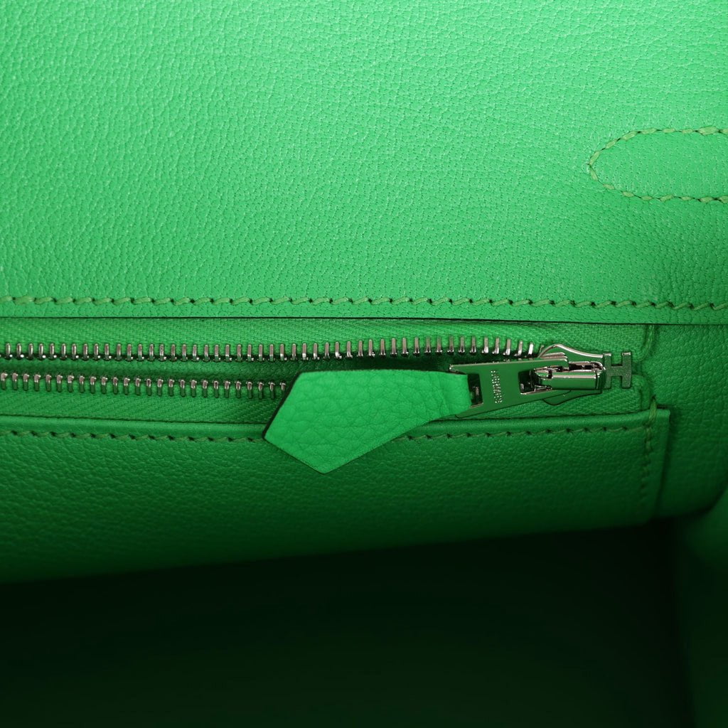 Hermes Birkin 25 Vert Comics Togo Palladium Hardware