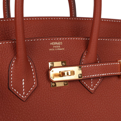 Hermes Birkin 25 Sienne Togo Gold Hardware