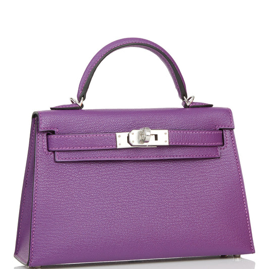 Hermes Kelly Sellier 20 Violet Verso Chèvre Palladium Hardware