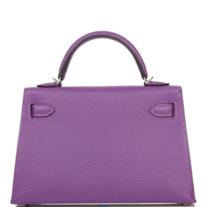 Hermes Kelly Sellier 20 Violet Verso Chèvre Palladium Hardware