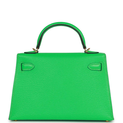 Hermes Kelly Sellier 20 Vert Comics Chevre Gold Hardware