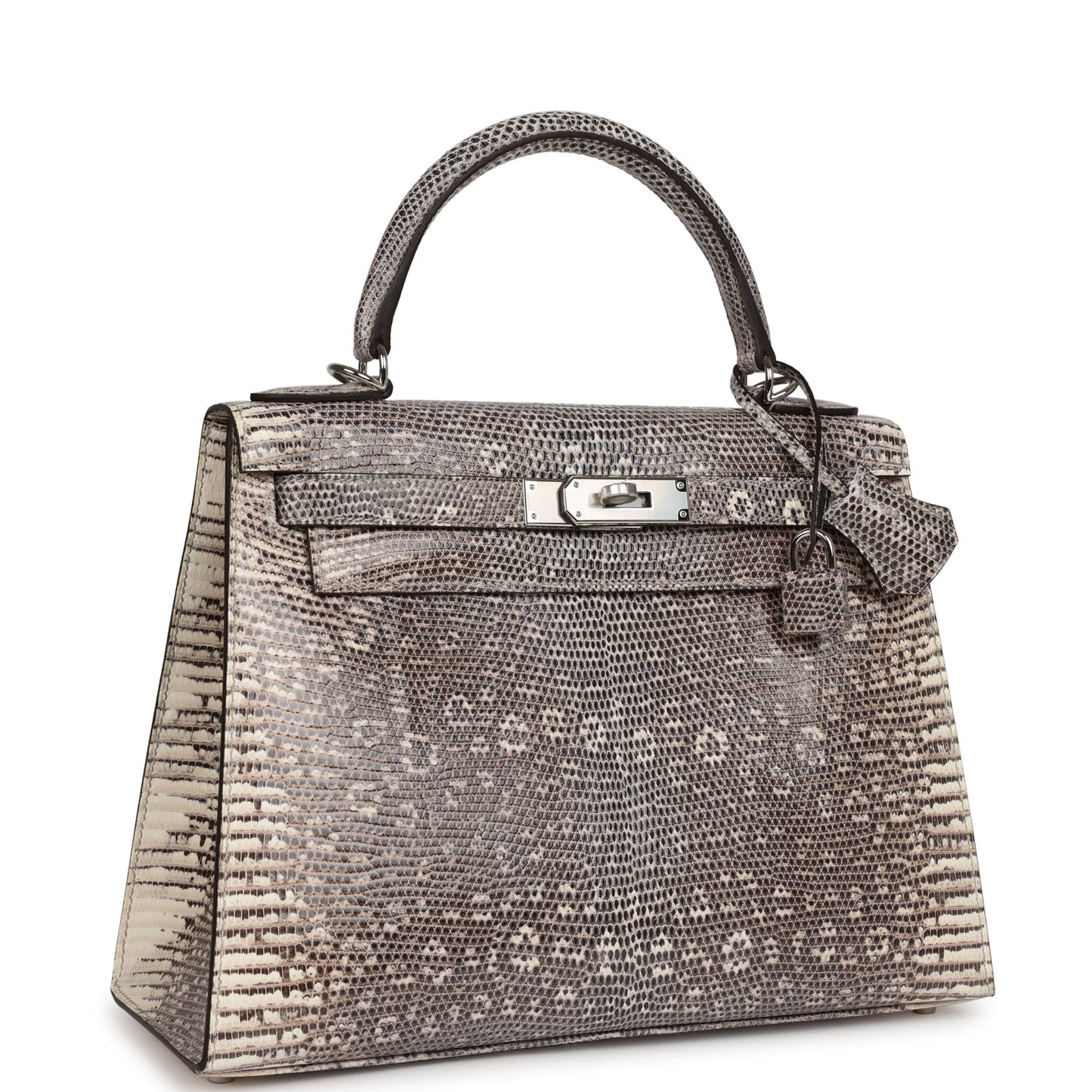 Hermes Kelly Sellier 28 Ombre Veranus Salvator Lizard Palladium Hardware