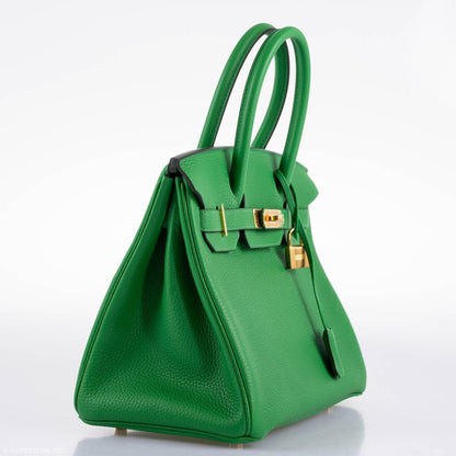 Hermes Birkin 25 Bambou (Bamboo) Green Togo with Gold Hardware - 2020, Y