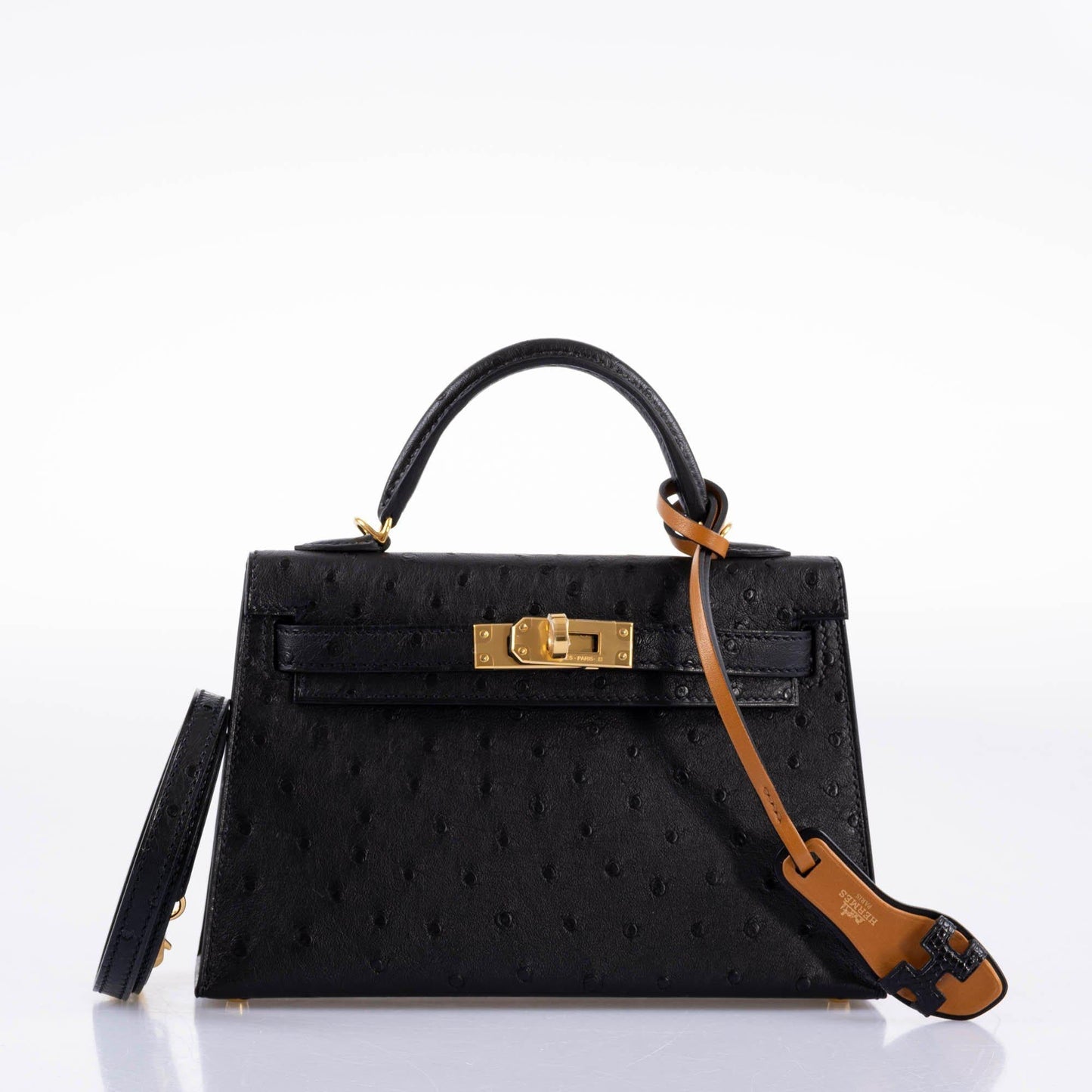 Hermes Kelly 20 Mini II Sellier Black Ostrich Gold Hardware - 2021, Z