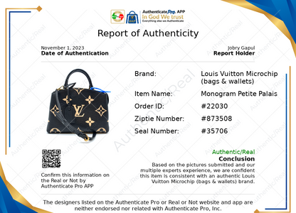 Handbag Luxury Designer By Louis Vuitton  Size: Small