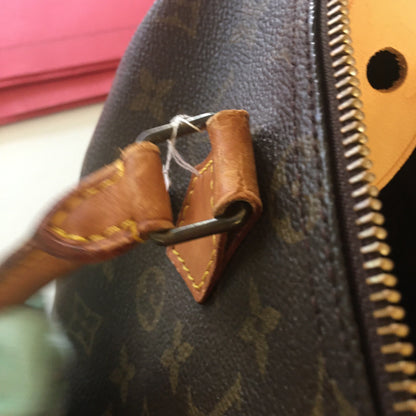 Louis Vuitton  Speedy Handbag in Brown Canvas