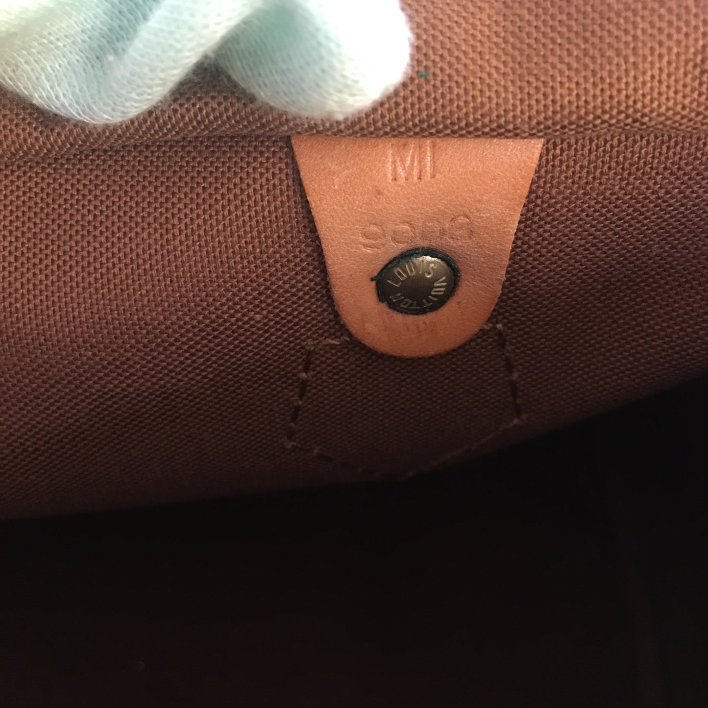 Louis Vuitton  Speedy Handbag in Brown Canvas