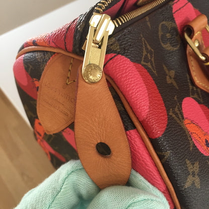 Louis Vuitton  Speedy Handbag in Brown Canvas