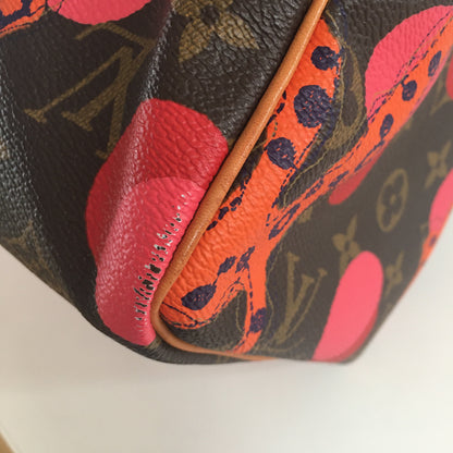 Louis Vuitton  Speedy Handbag in Brown Canvas