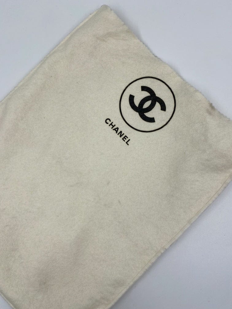 Vintage Chanel Camera Bag