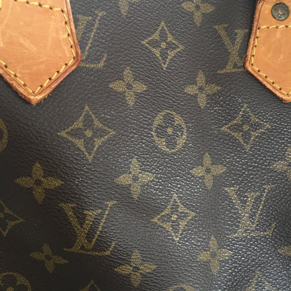 Louis Vuitton  Speedy Handbag in Brown Canvas