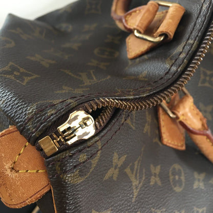 Louis Vuitton  Speedy Handbag in Brown Canvas