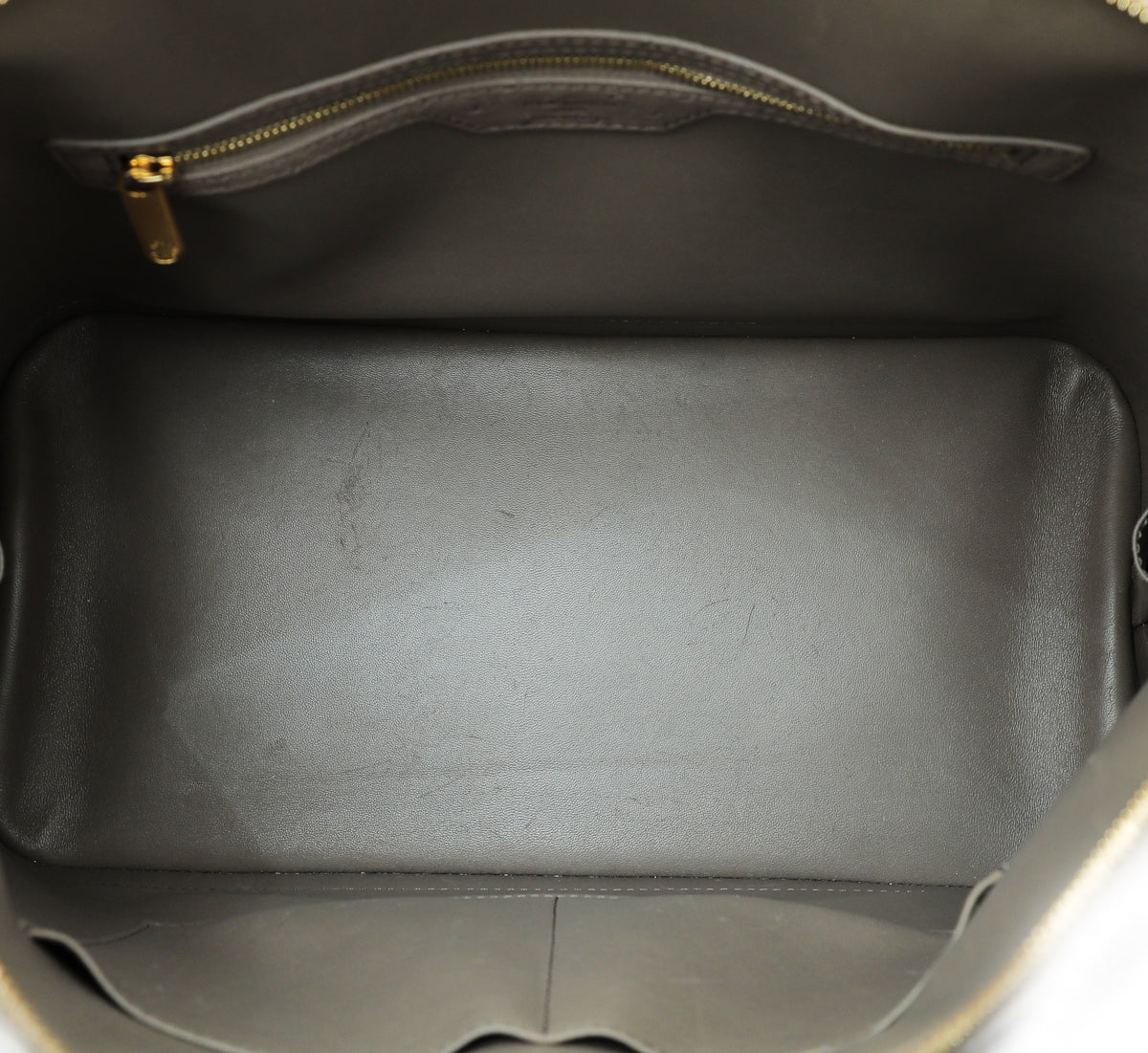 Louis Vuitton Gris Ostrich Alma GM Bag