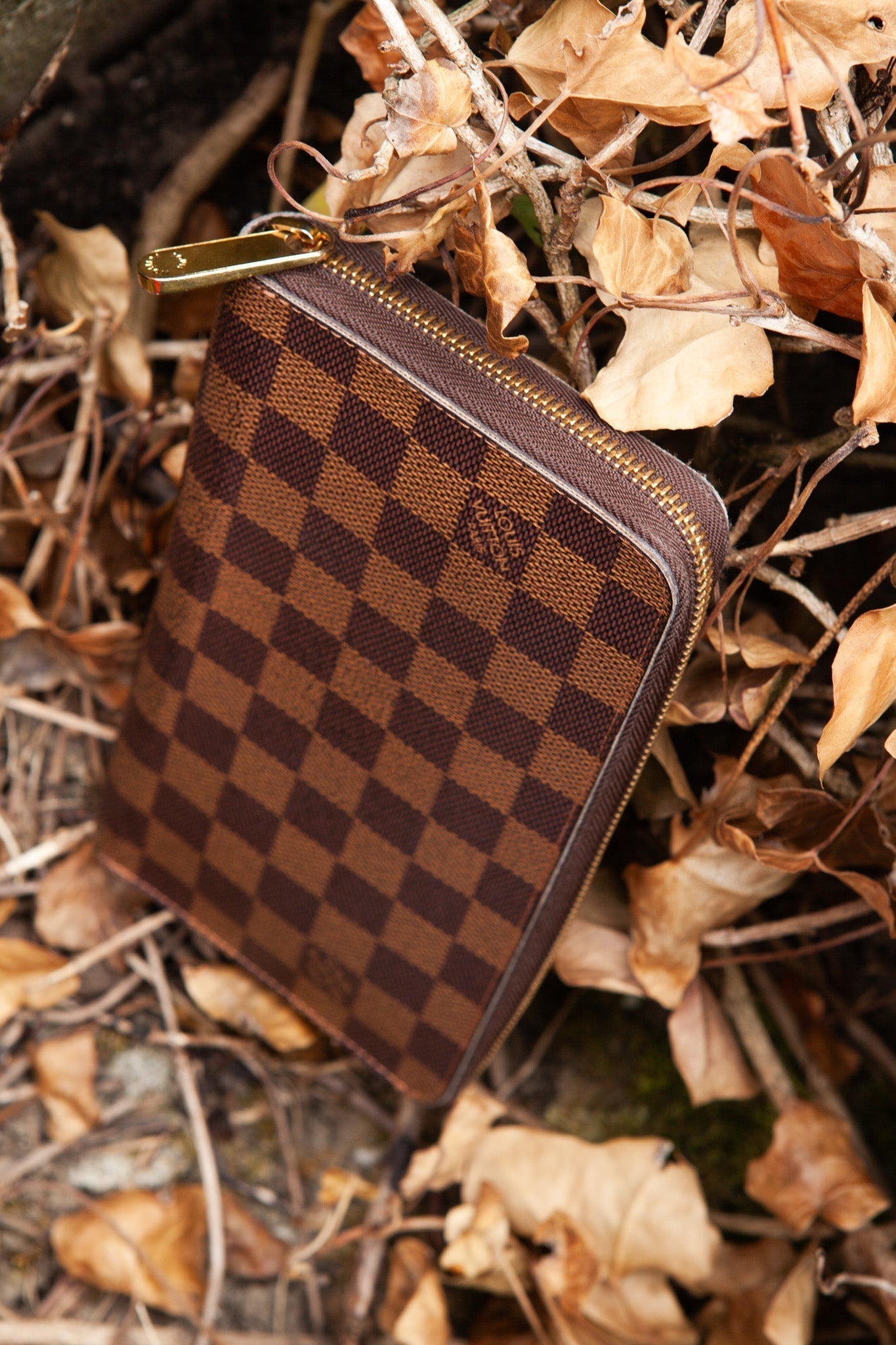 Louis Vuitton  Grande Zip Around Wallet Damier Ebene