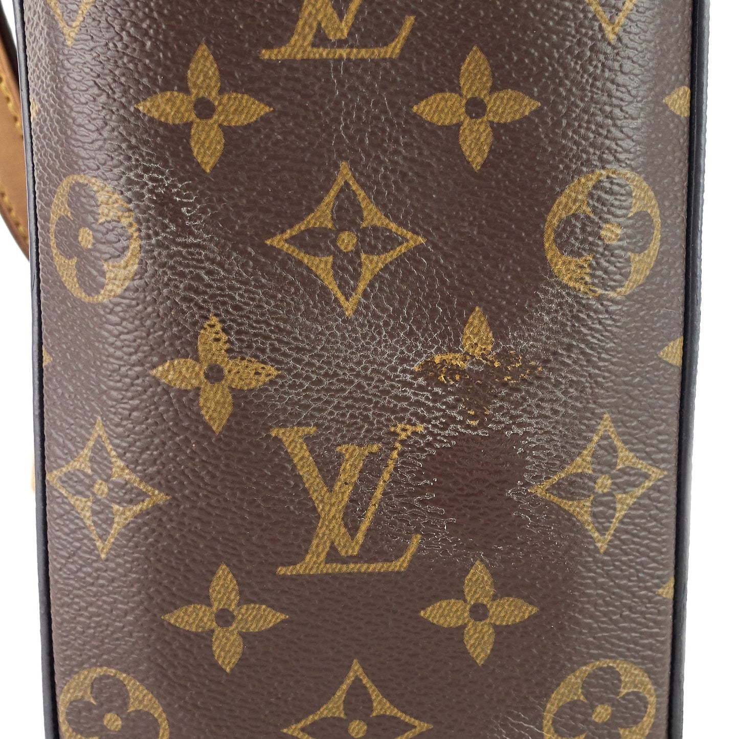 Louis Vuitton  Cluny BB Monogram Canvas Bag