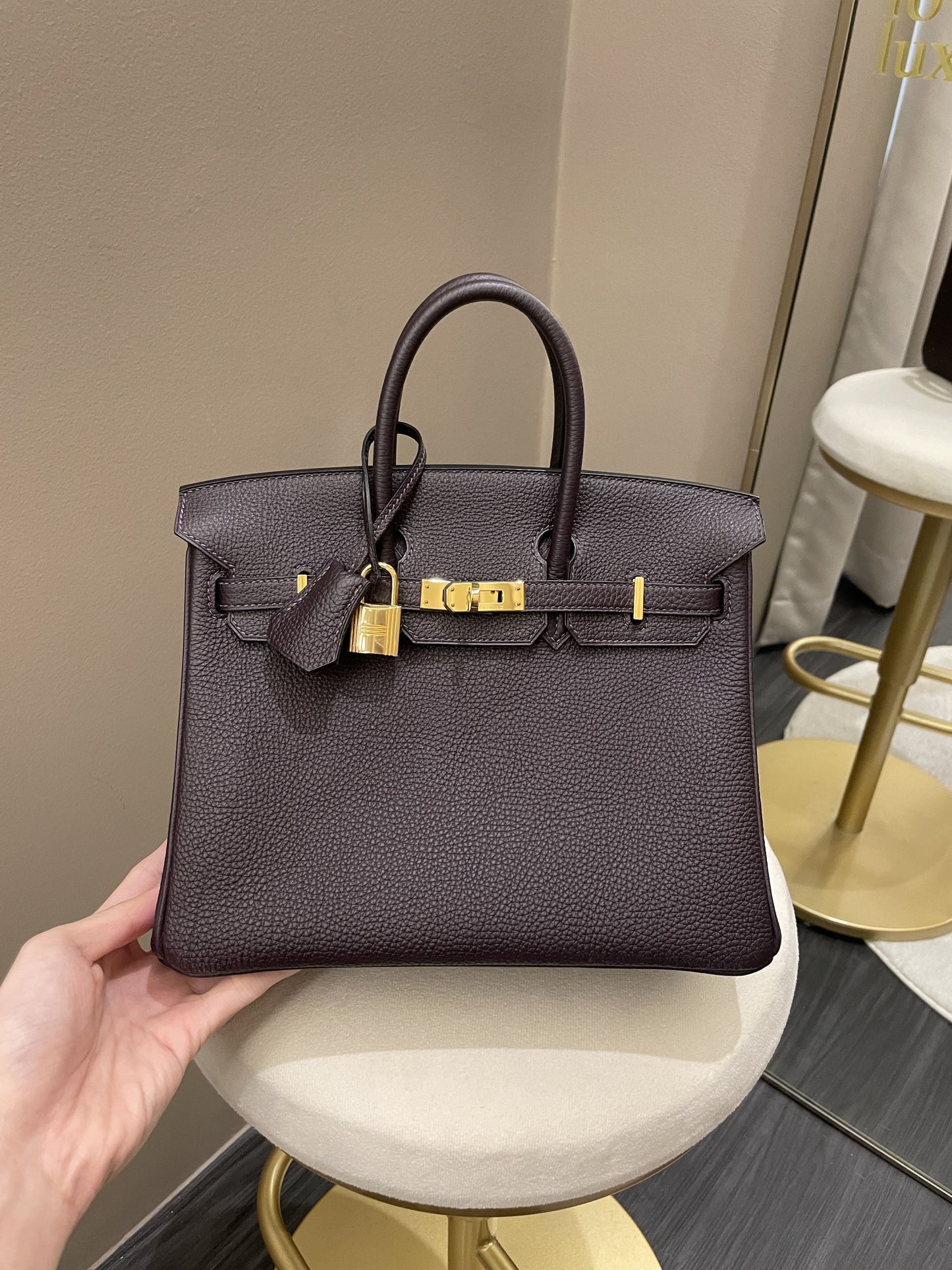 Hermes Birkin 25 Rasin Togo