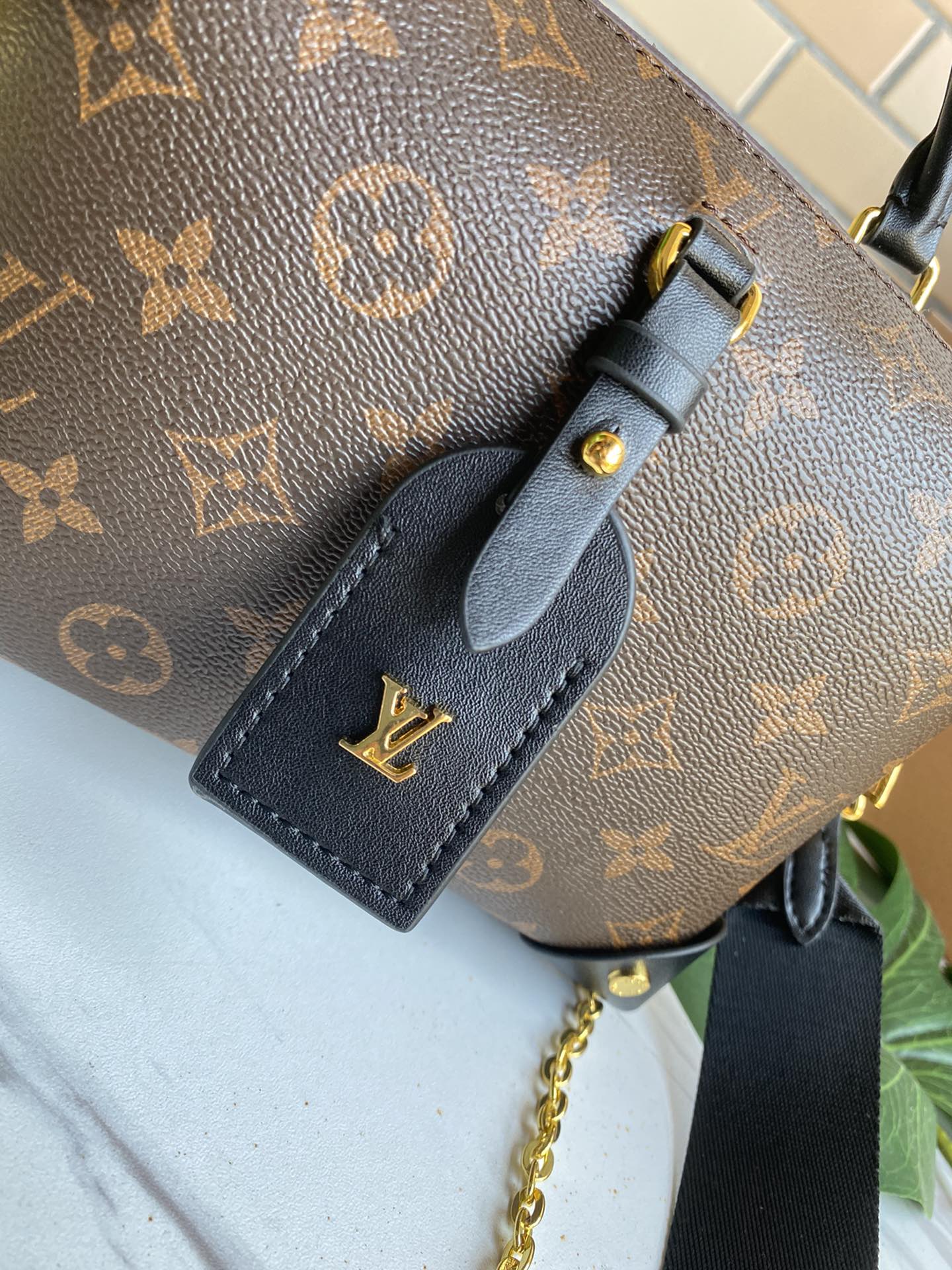 Designer Handbags Louis Vuitton 107