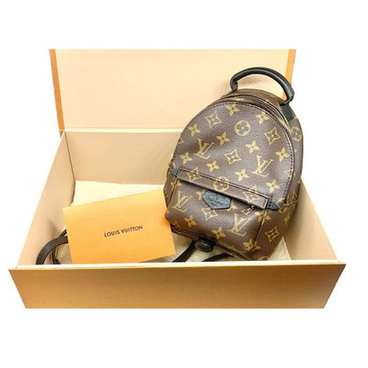 Louis Vuitton Monogram Canvas Palm Springs Mini Backpack