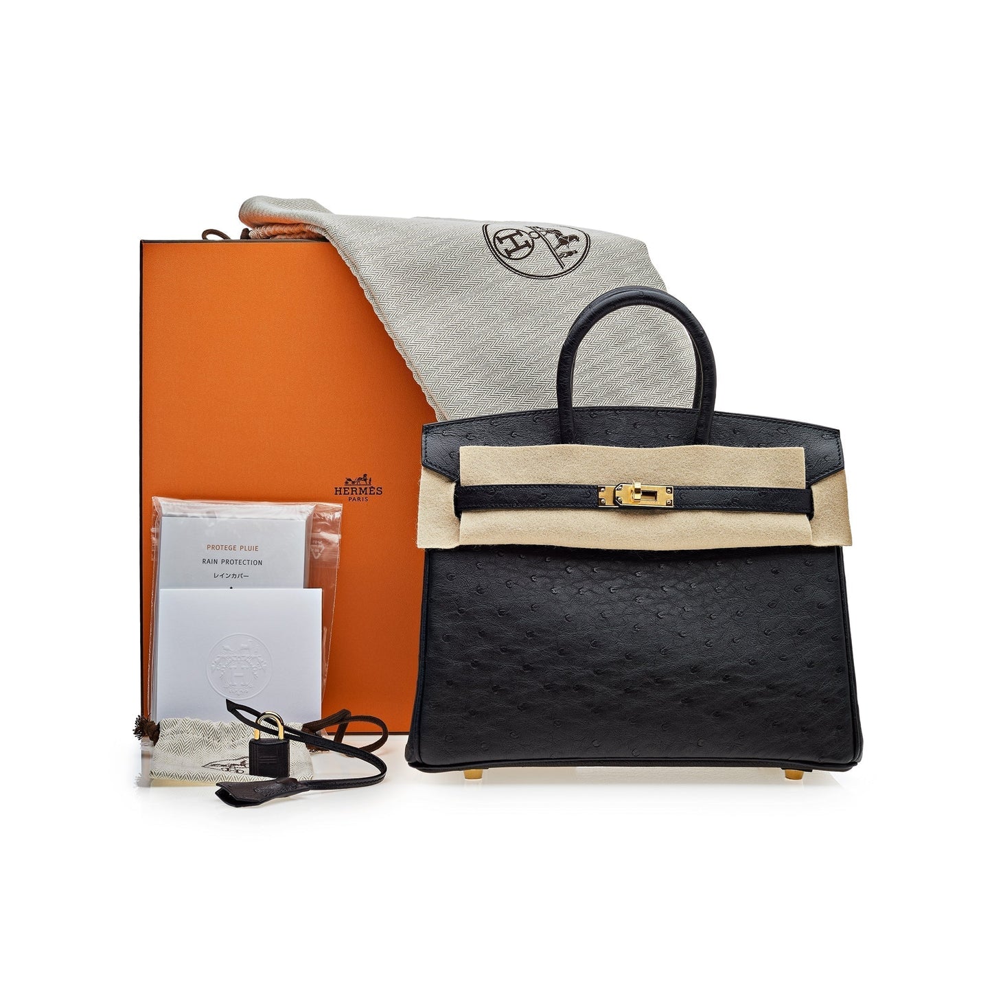 Hermes Birkin 25 Noir Ostrich Leather Gold Hardware