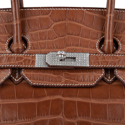 Hermes Diamond Birkin 35 Bag Fauve Barenia Matte Alligator Rare