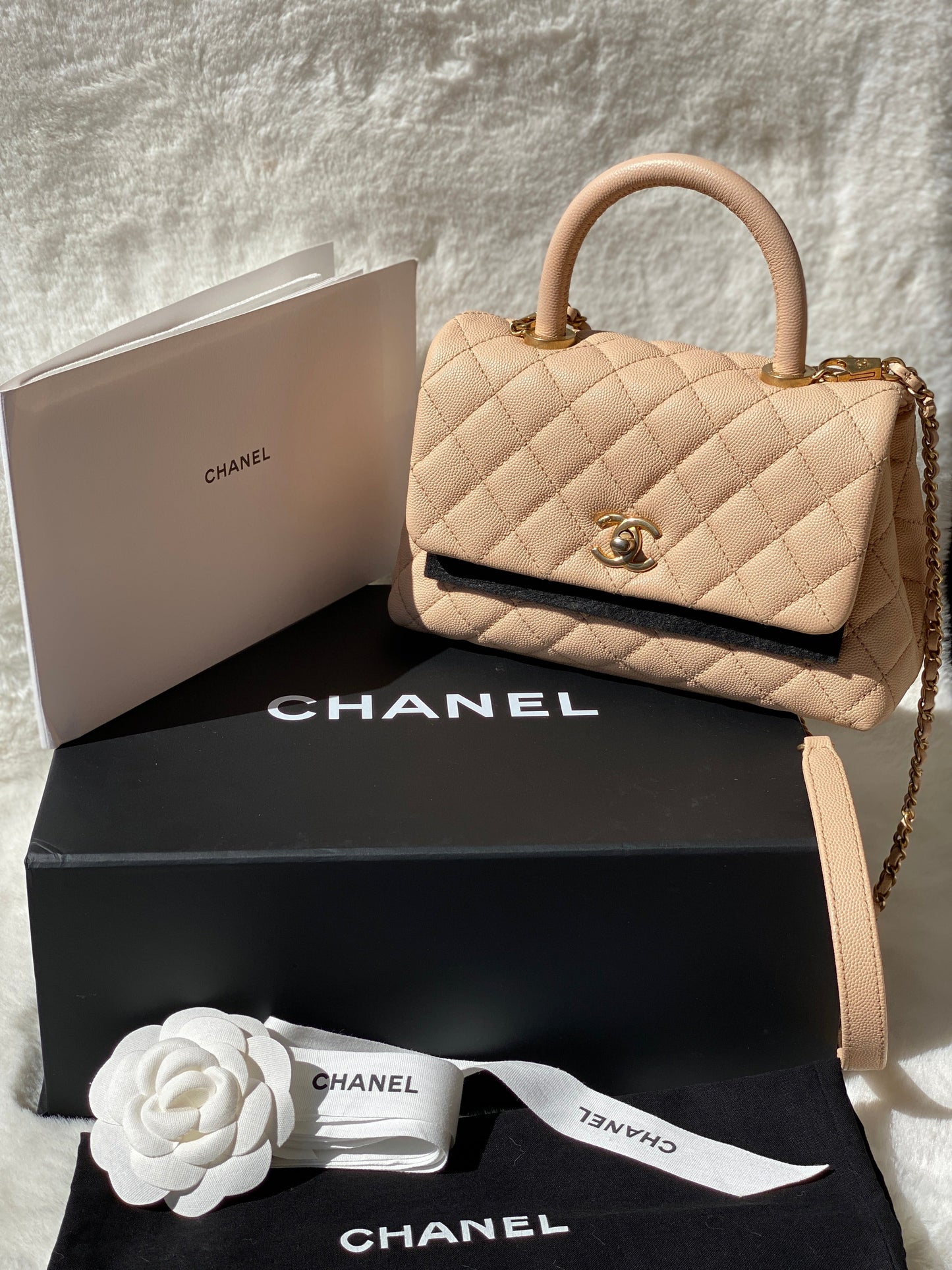 Chanel Mini Coco Handle