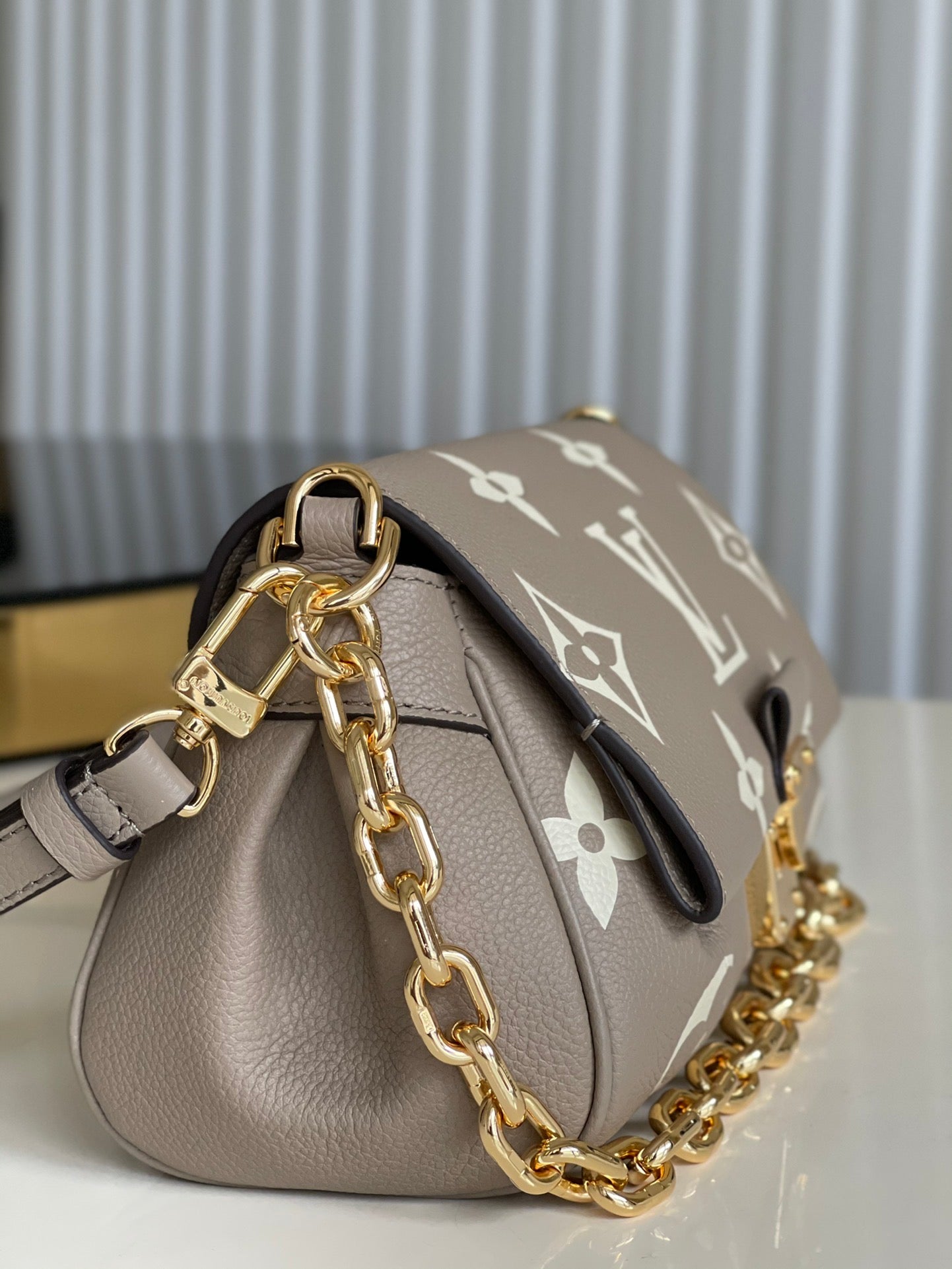 Louis Vuitton  Favorite Bag