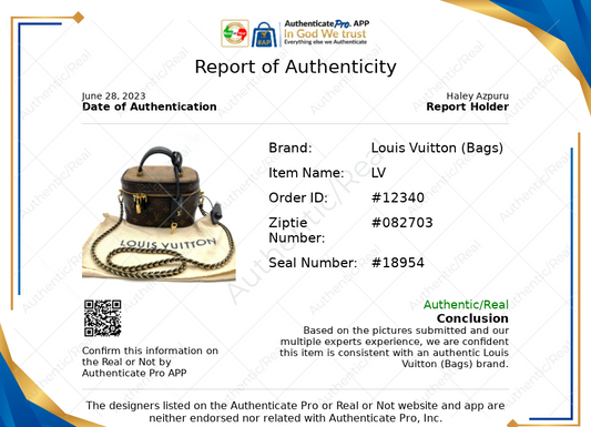 Handbag Luxury Designer By Louis Vuitton  Size: Small