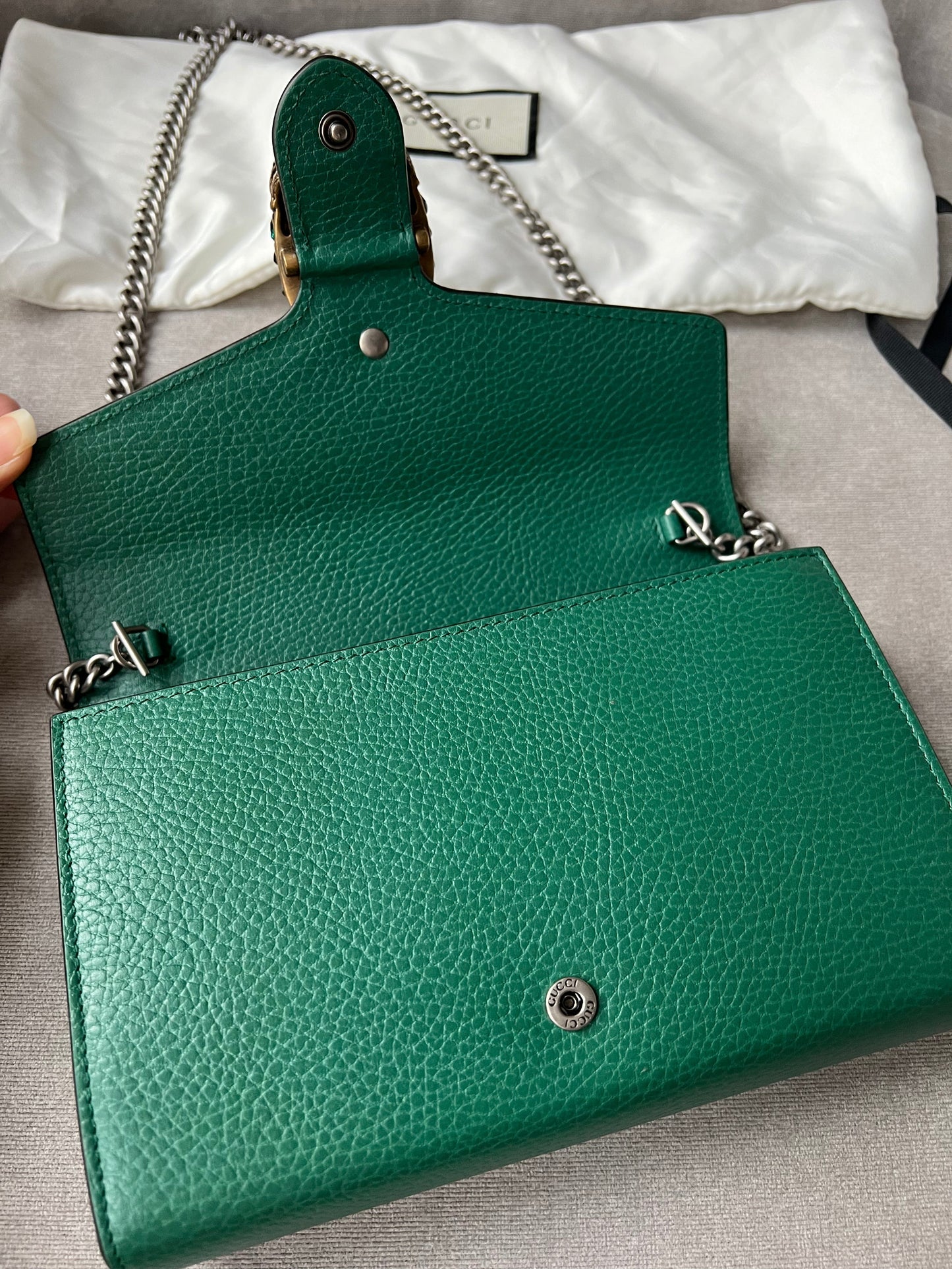 Gucci Dionysus Green Mini Chain Bag (RRP £1340)