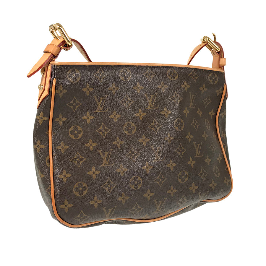 Louis Vuitton  Monogram Hudson GM Shoulder Bag