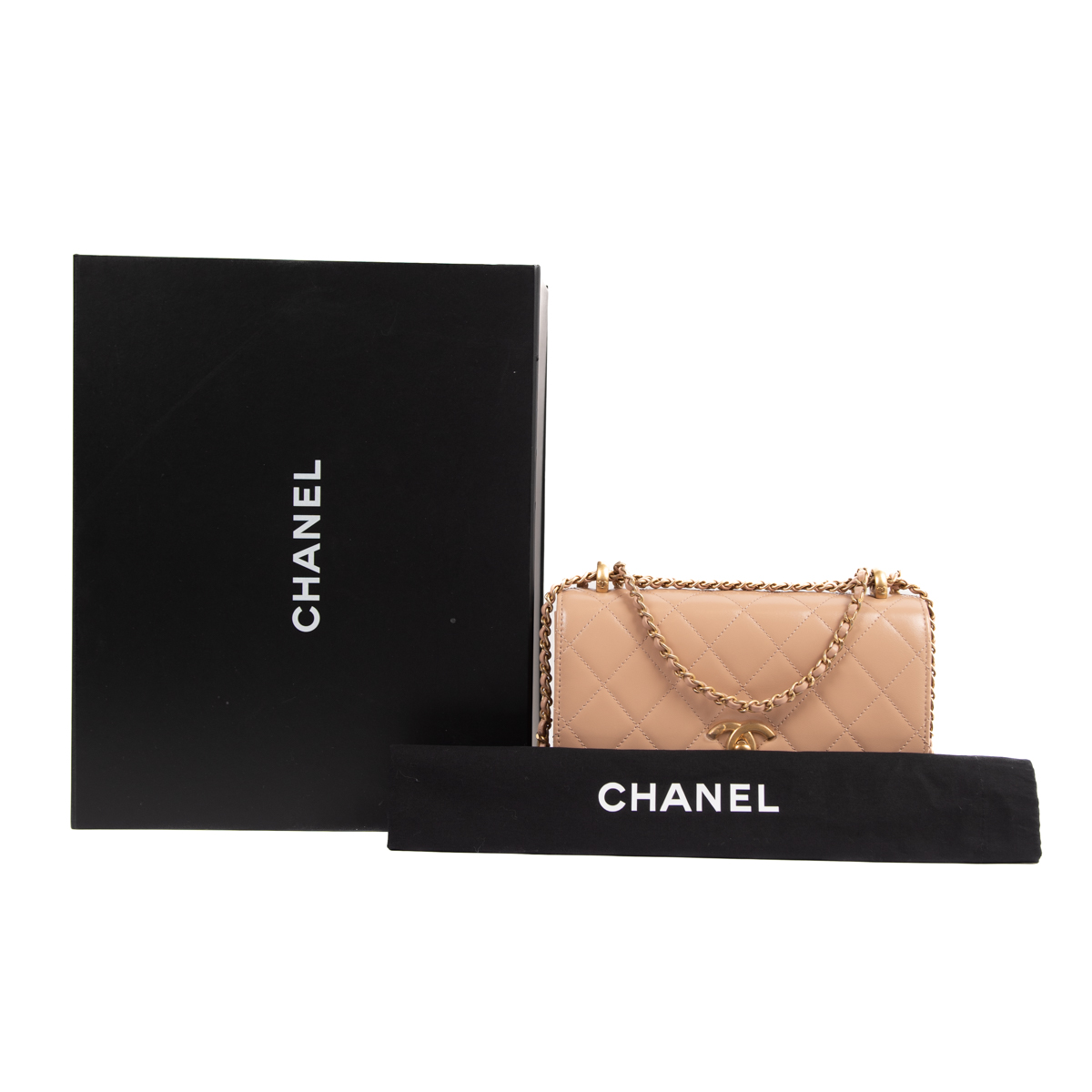 Chanel Limited Edition Small Calfskin Perfect Fit Flap Bag