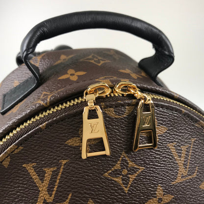 Louis Vuitton  Monogram Reverse Palm Springs Backpack PM M44870 Backpack