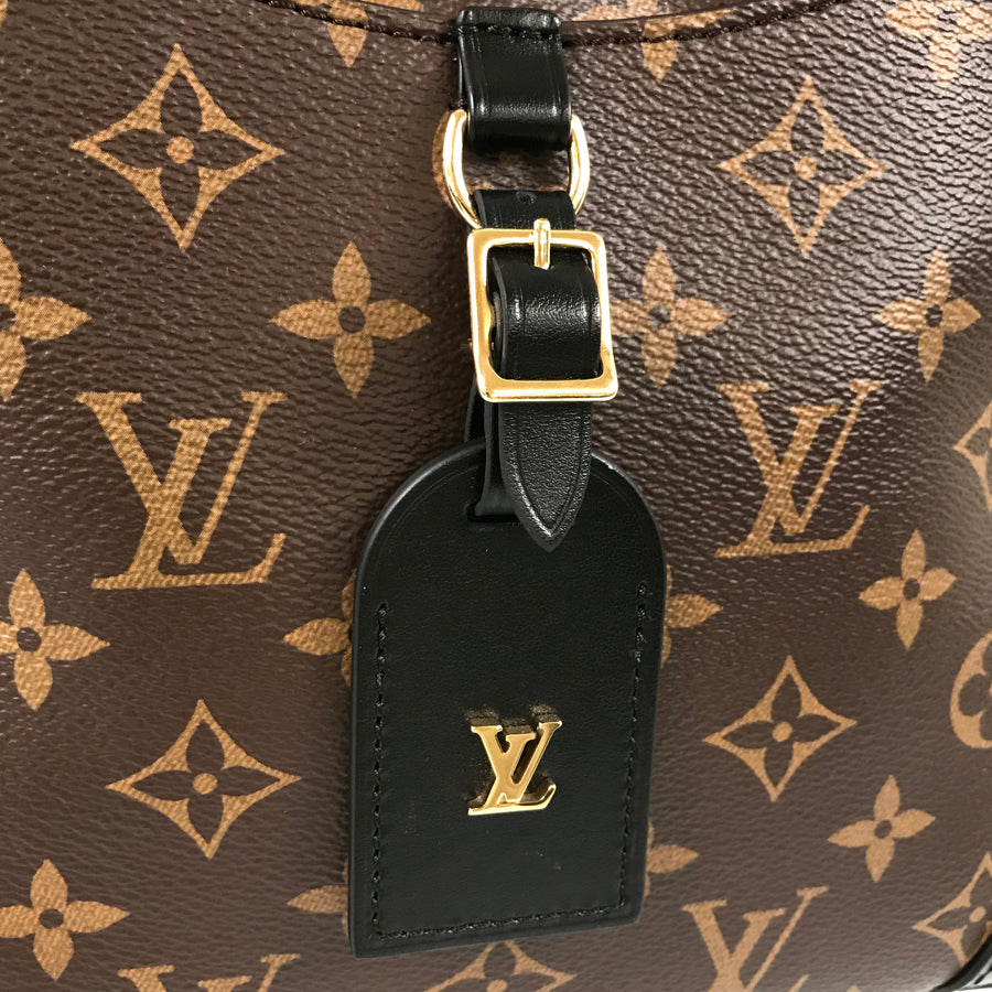 Louis Vuitton  Monogram Odeon NM PM M45353 Shoulder Bag